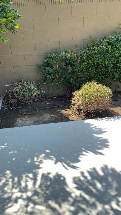 Mc landscape - Back yard clean up - Gardeners Near Me