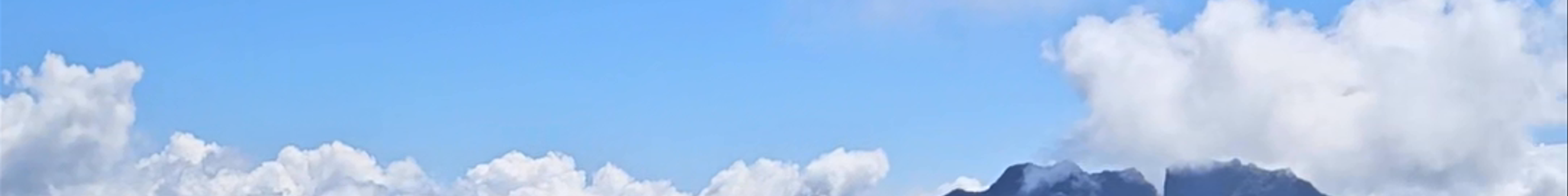 Tours & experiences in Réunion
