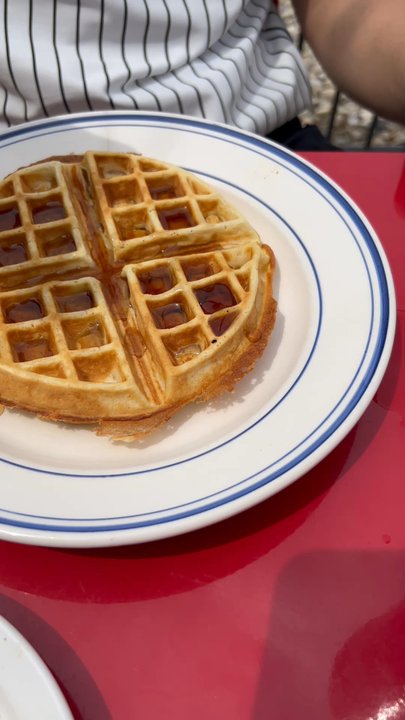 Big Bear Biscuits - All the food we ordered - Breakfast & Brunch Near Me - Indianapolis, Indiana