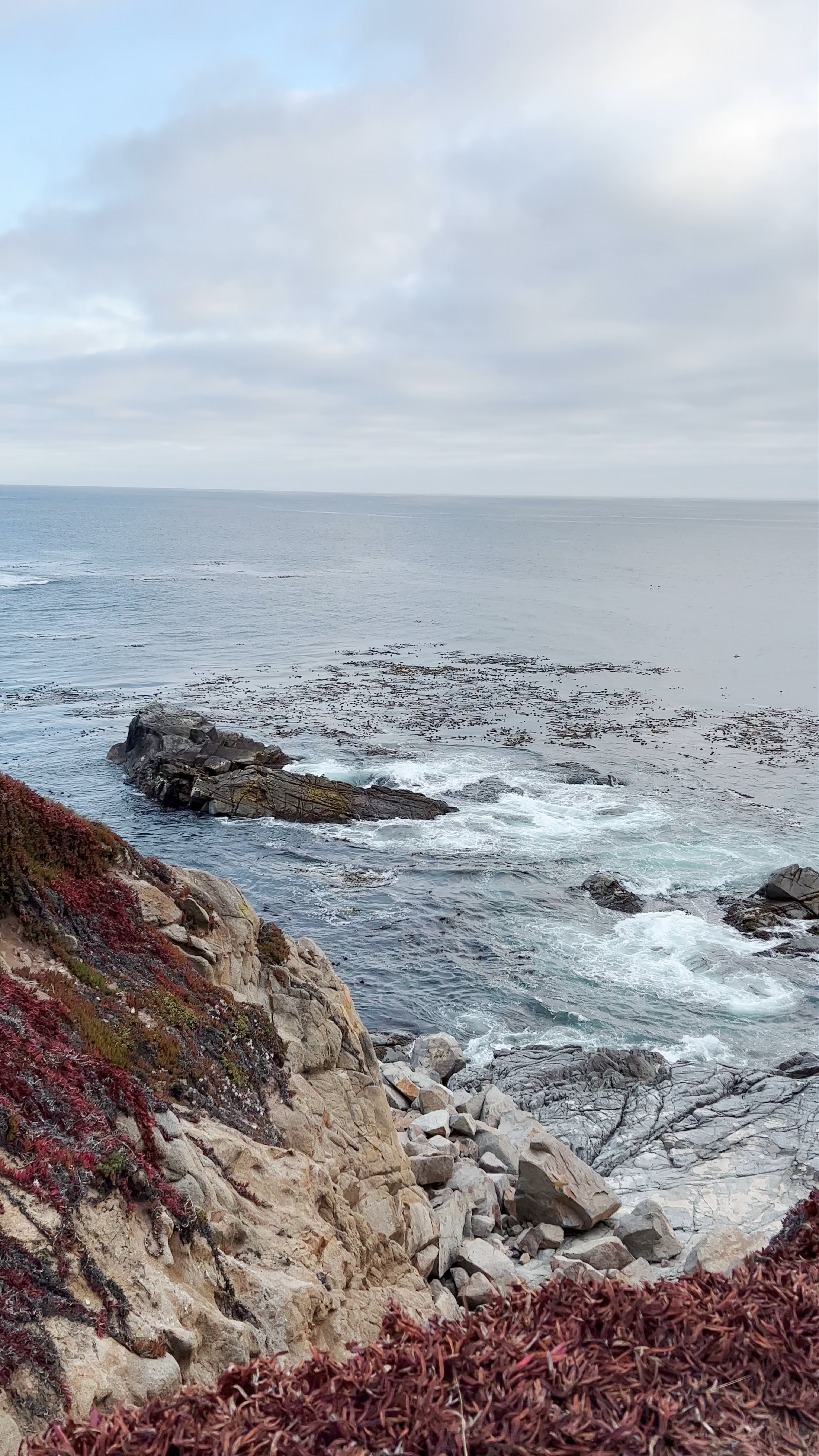 The California Sea Otter State Game Refuge