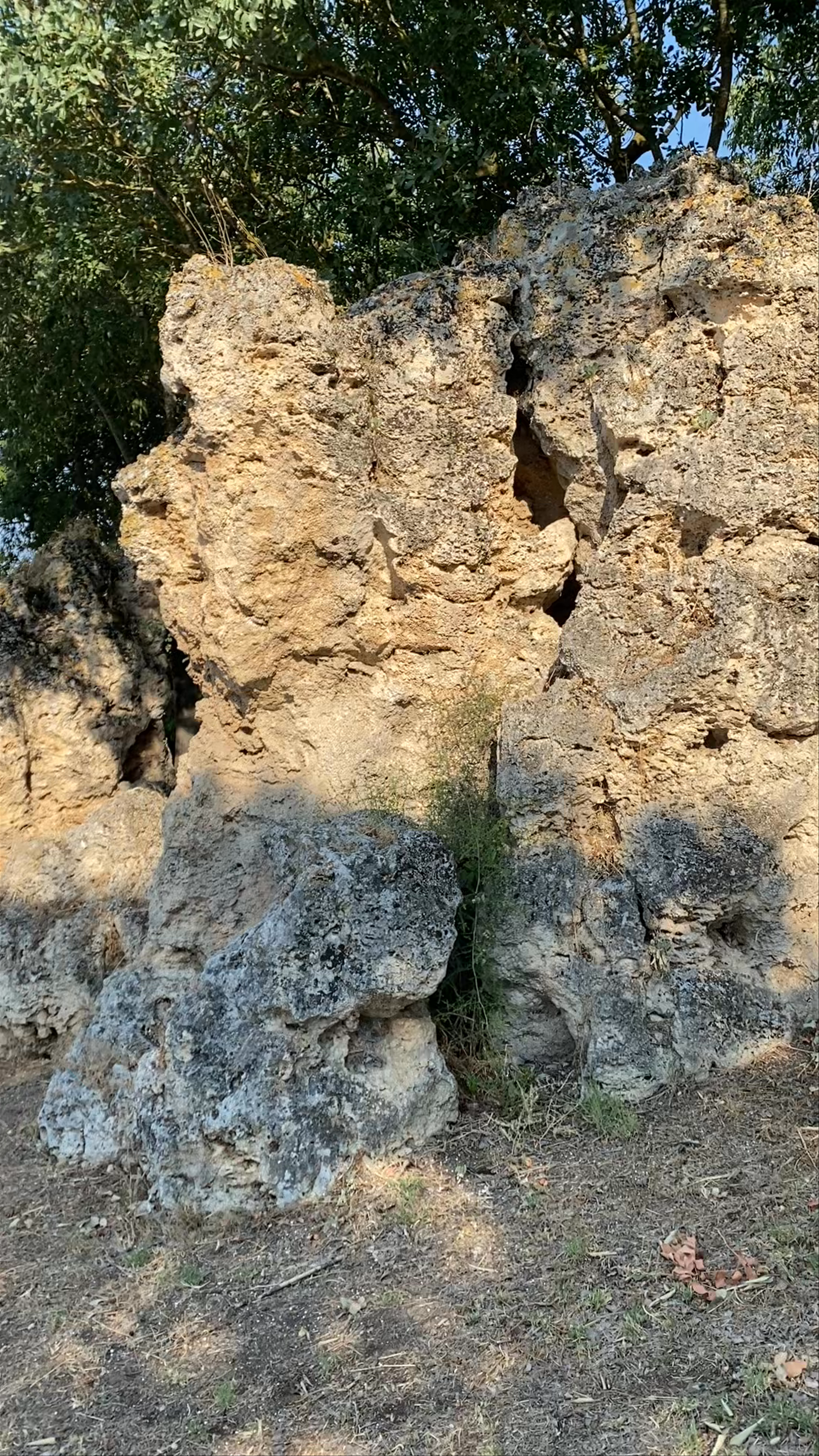 Νυμφόπετρες