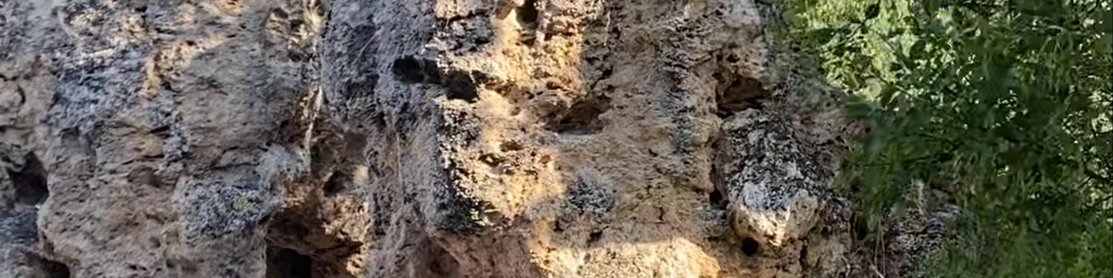 Νυμφόπετρες