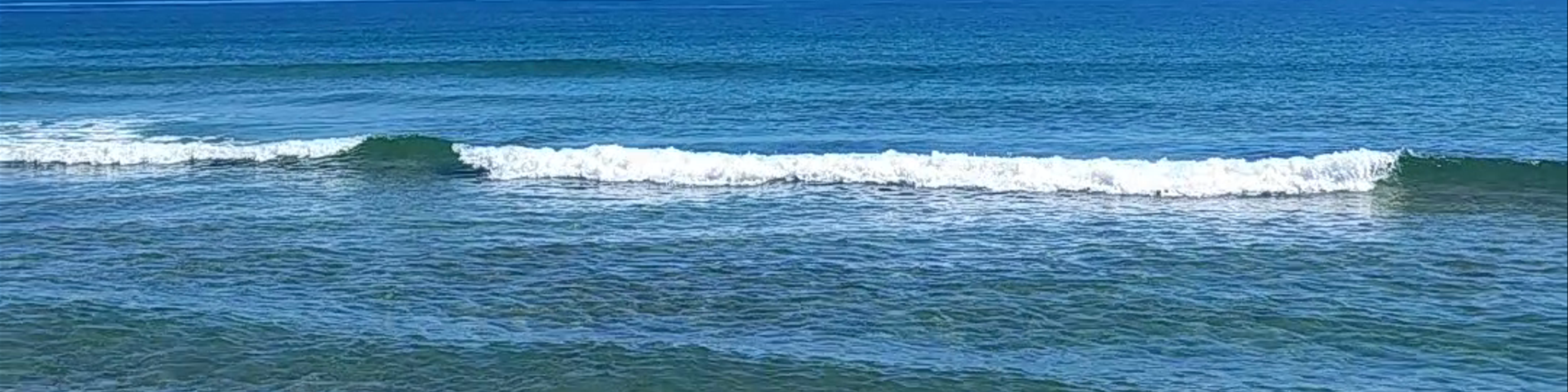 Limón
