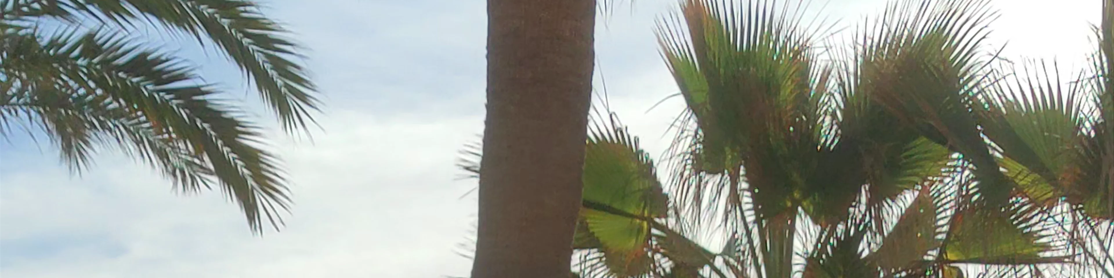 Estatua mano al cielo