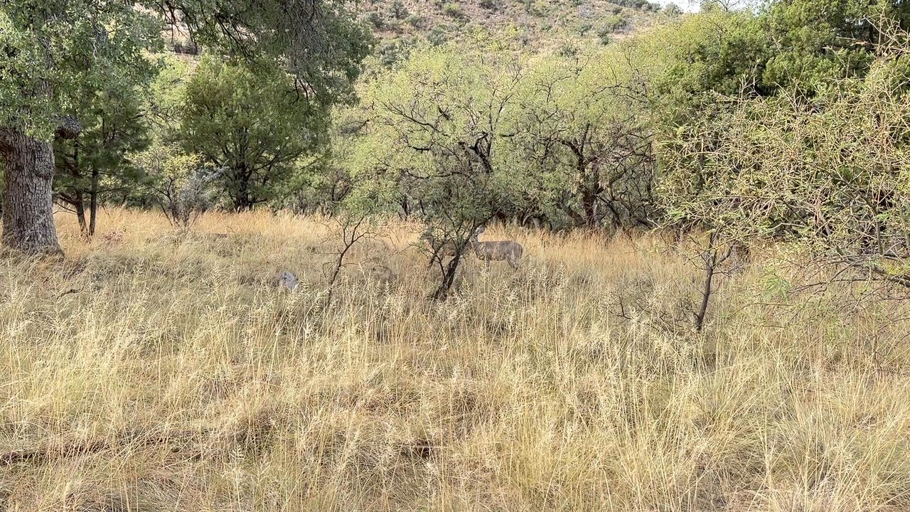 Madera Canyon - Public Services & Government Near Me