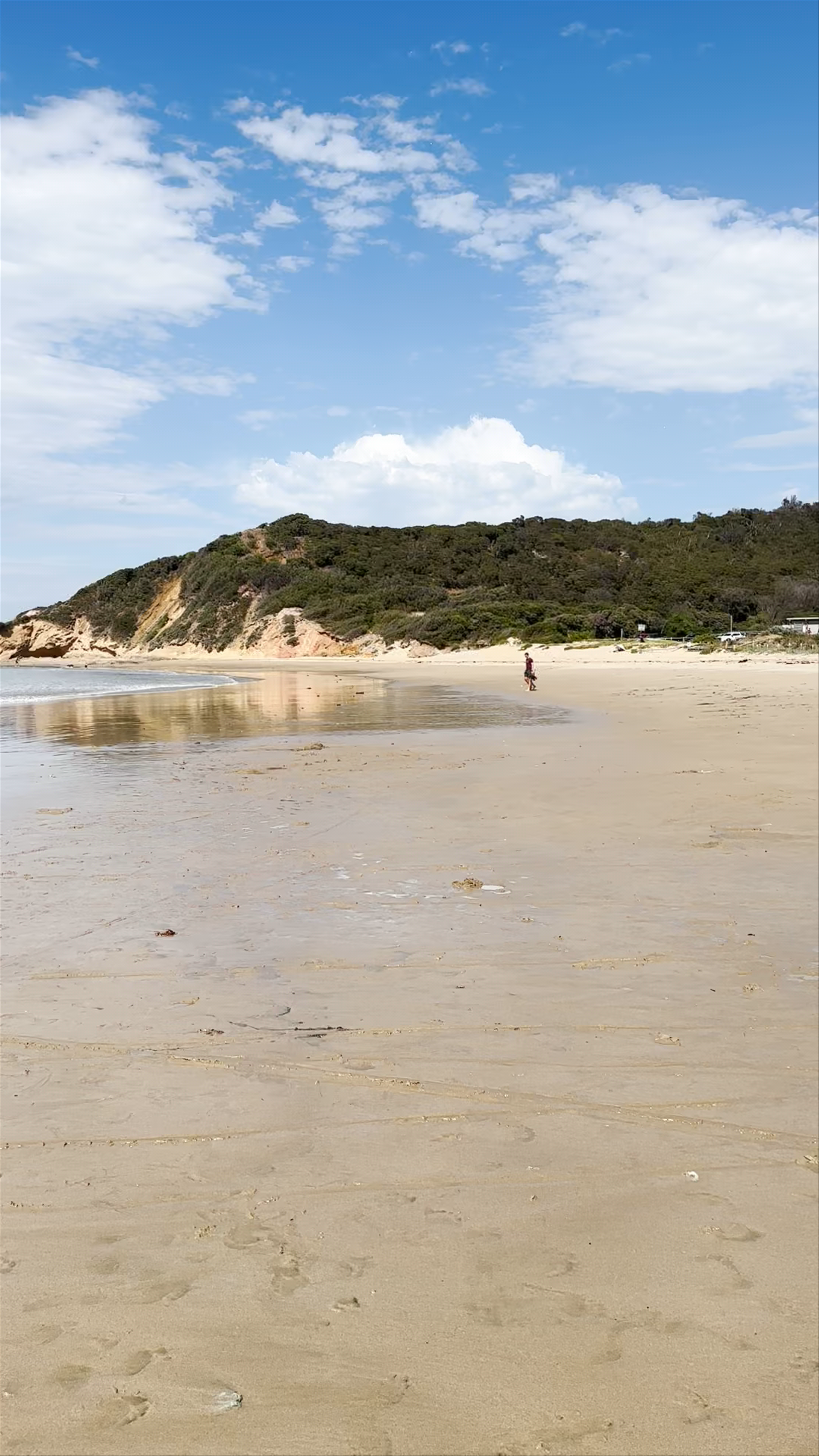 Anglesea Beach