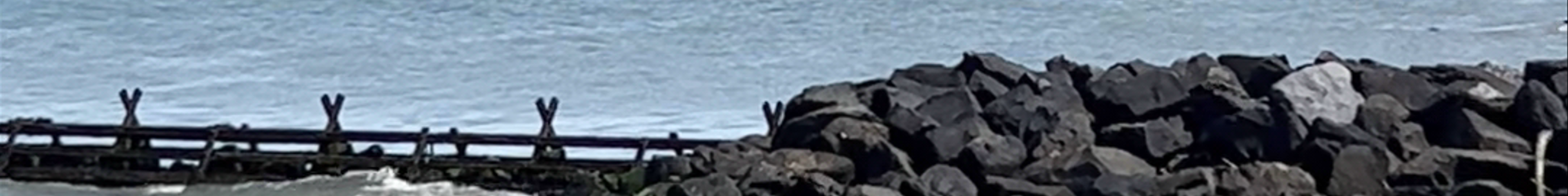 Tours & experiences in Aberaeron