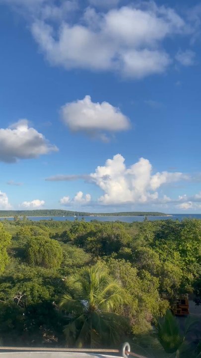 Restaurante El Blok - Little Video from the rooftop - Latin American Near Me - Vieques, Puerto Rico