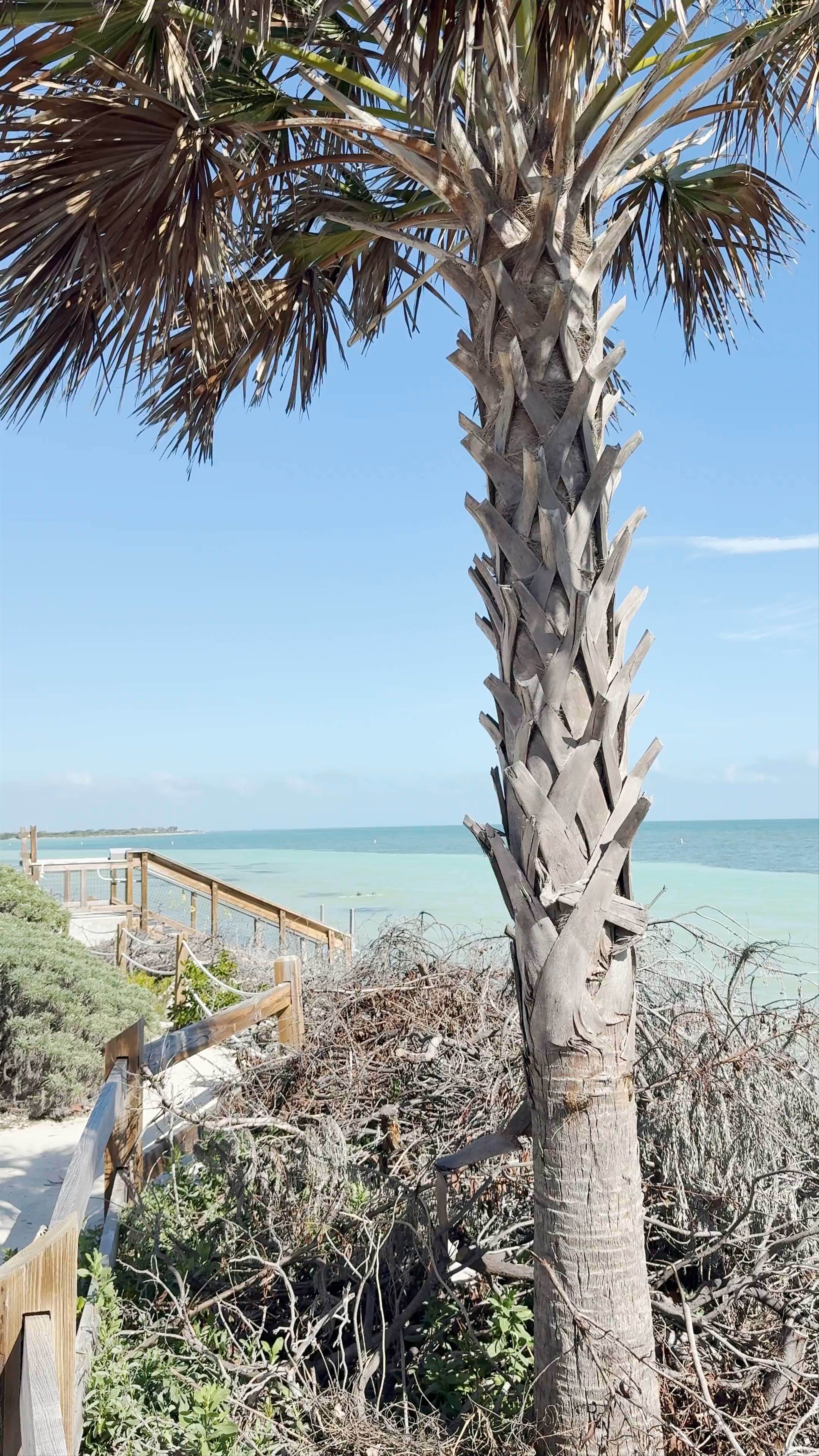 Bahia Honda State Park: Coastal Serenity and Nature Escape in Florida