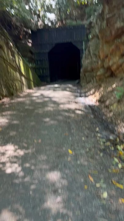 New River Trail State Park - Parks Near Me - Meadows, Virginia