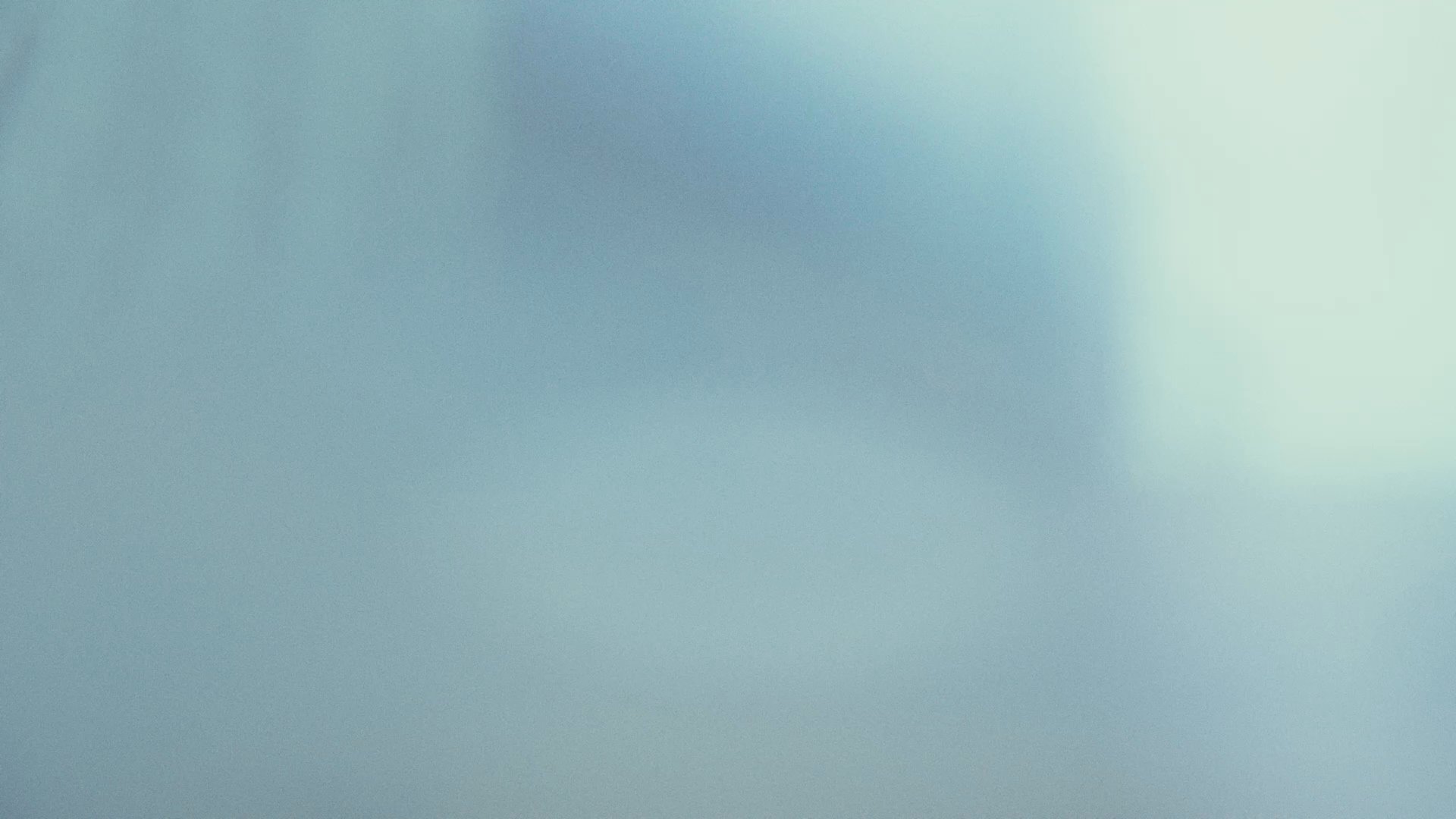 Salomon x Carhartt WIP