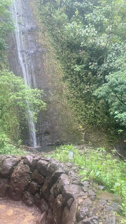 Mānoa Falls Trail - Hiking Near Me - Honolulu, Hawaii