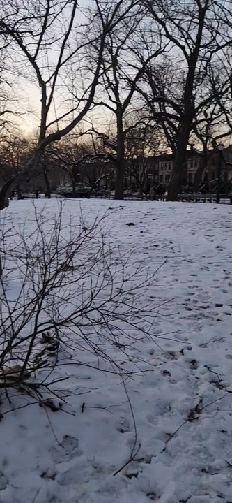 Fulton Park - Fulton Park Wed 17th Jan 2024 5pm. - Parks Near Me - Brooklyn, New York