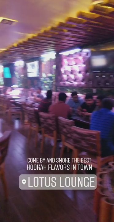 Lotus Lounge - Hookah Bars Near Me - Bronx, New York