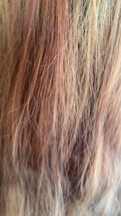 Bellisima Salon - Before!!!!Color Transformation - Hair Salons Near Me - Monrovia, California