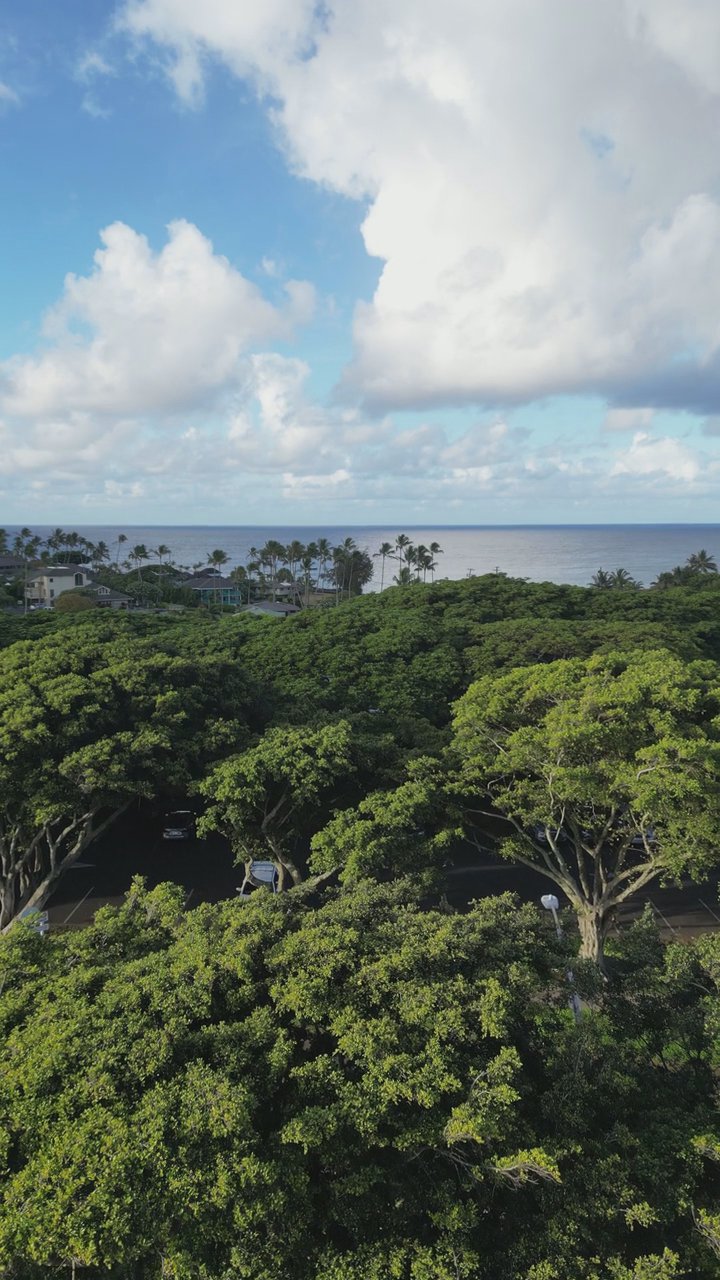 book the flight
📍 Maui Hawaii
🎥 Logan Voss · Pexels
#travel #beach #island #paradise #wanderlust