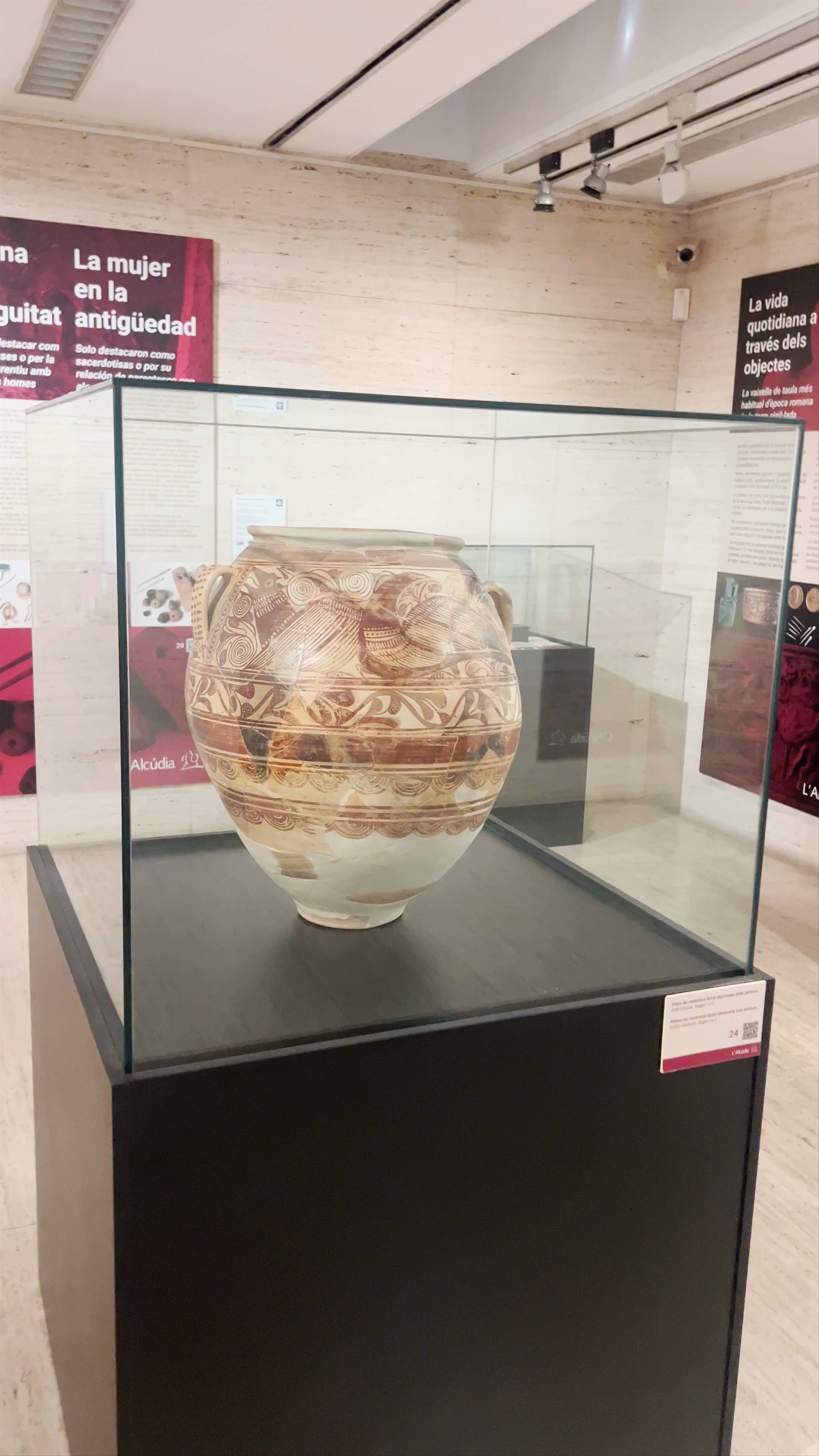 Museo de la Universidad de Alicante