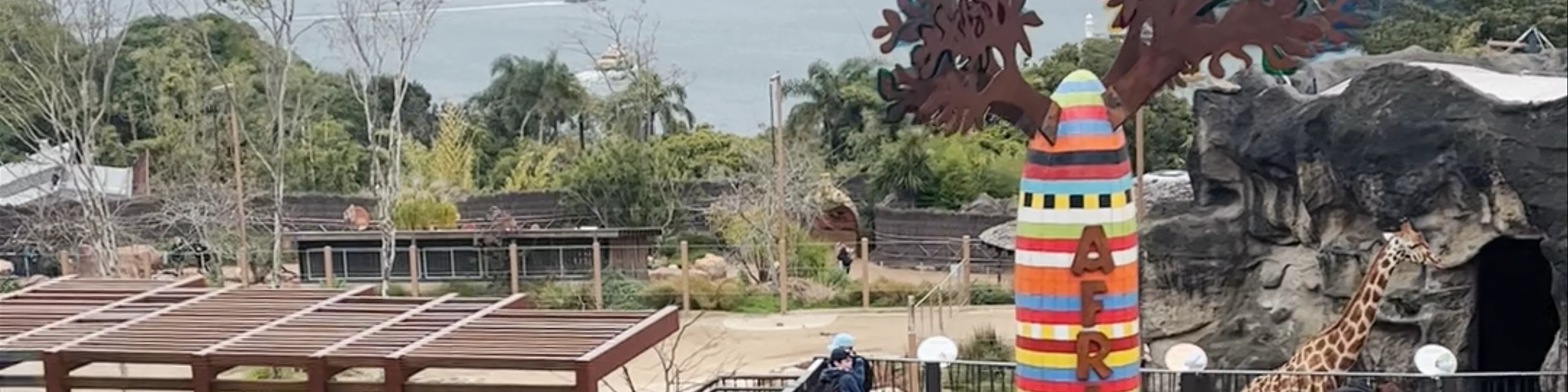 Taronga Zoo Sydney