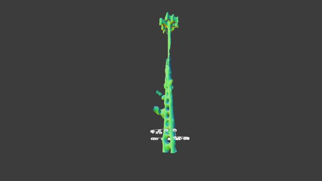 Video Placeholder