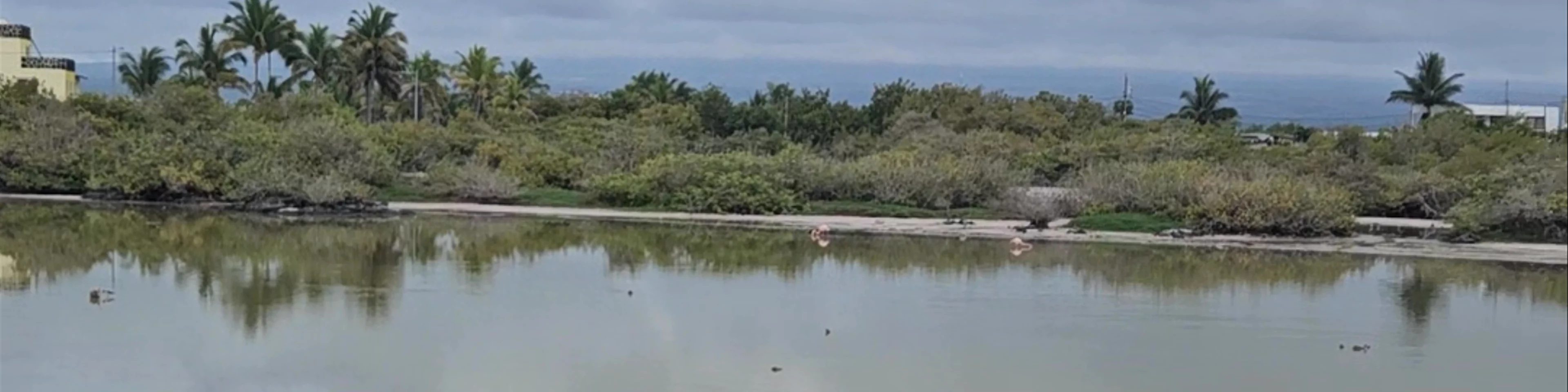 Poza de los Flamingos