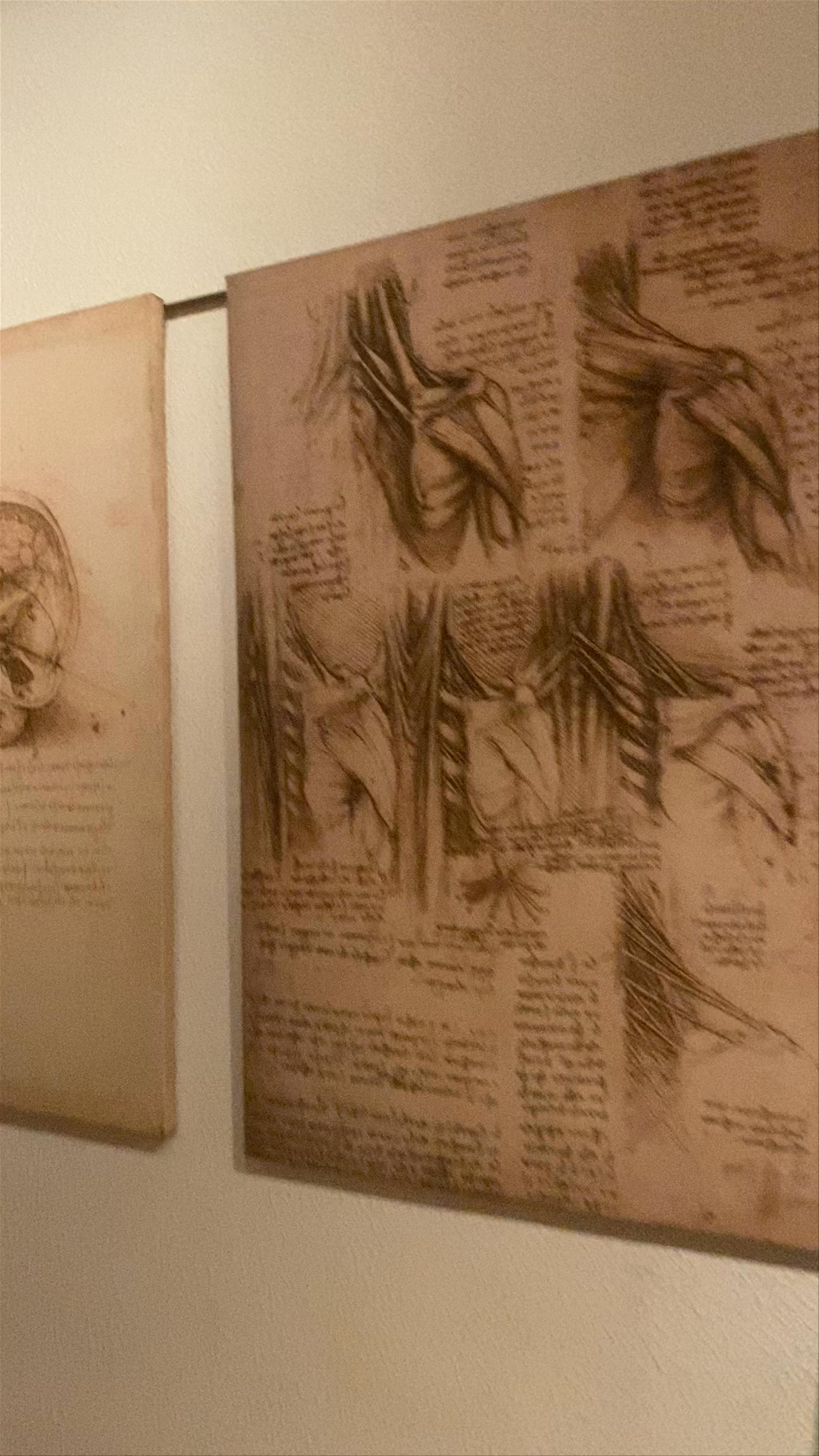 Exploring the Anatomical Drawings at Museo Leonardo da Vinci in Rome