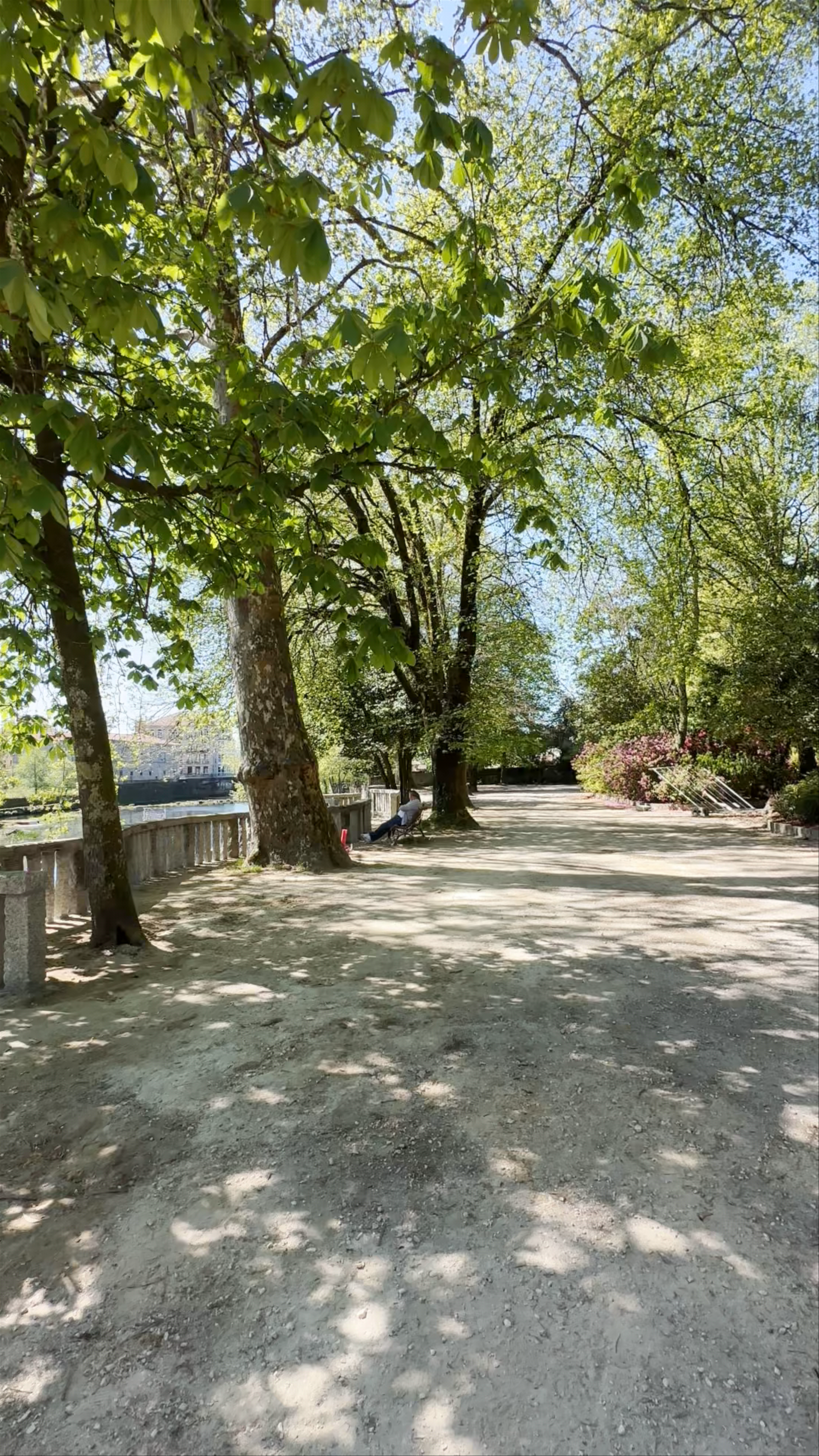 Fuente del Jardín Botánico