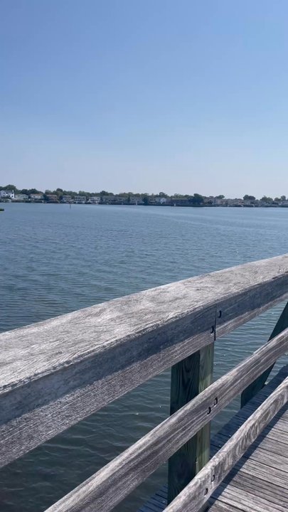 NORMAN J LEVY PARK & PRESERVE - Updated July 2026 - 538 Photos & 74 ...
