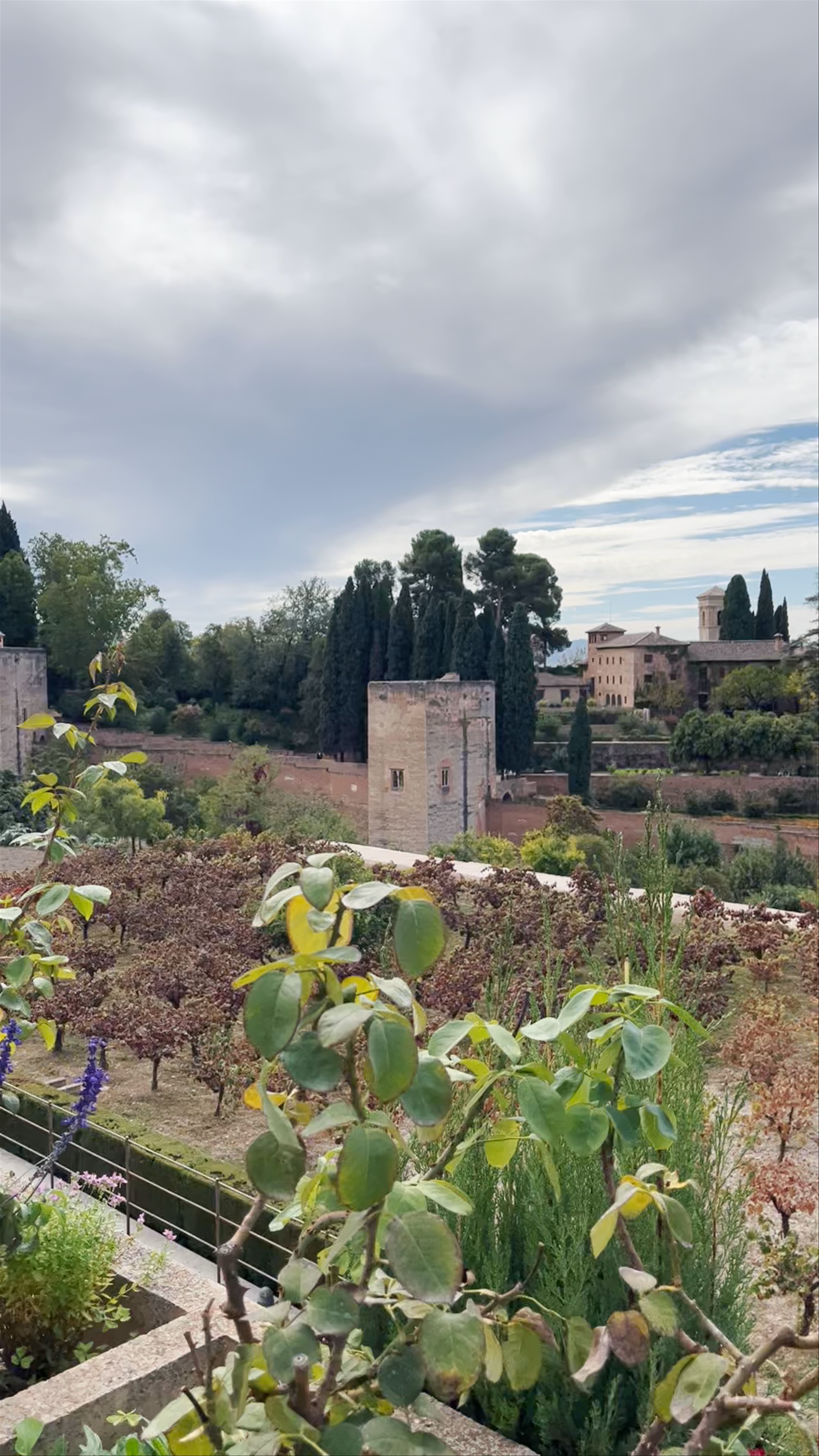 Alhambra