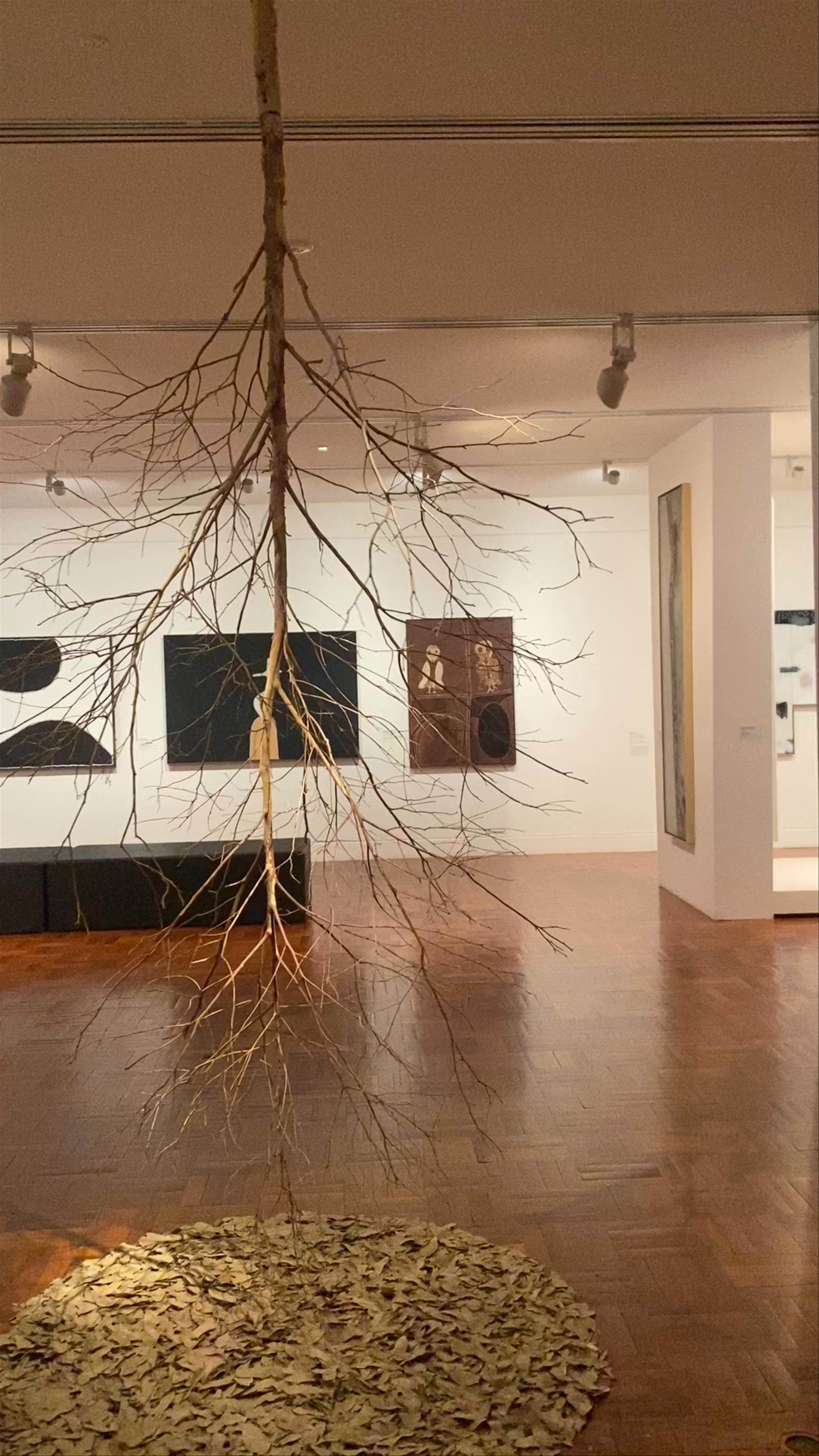 Art Gallery of South Australia