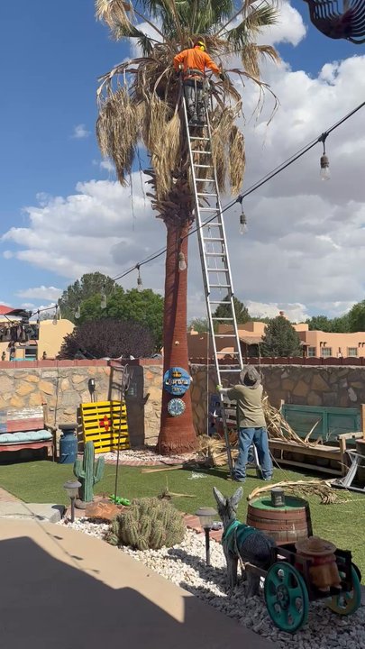 Millan Landscaping - Safety first! - Tree Services Near Me