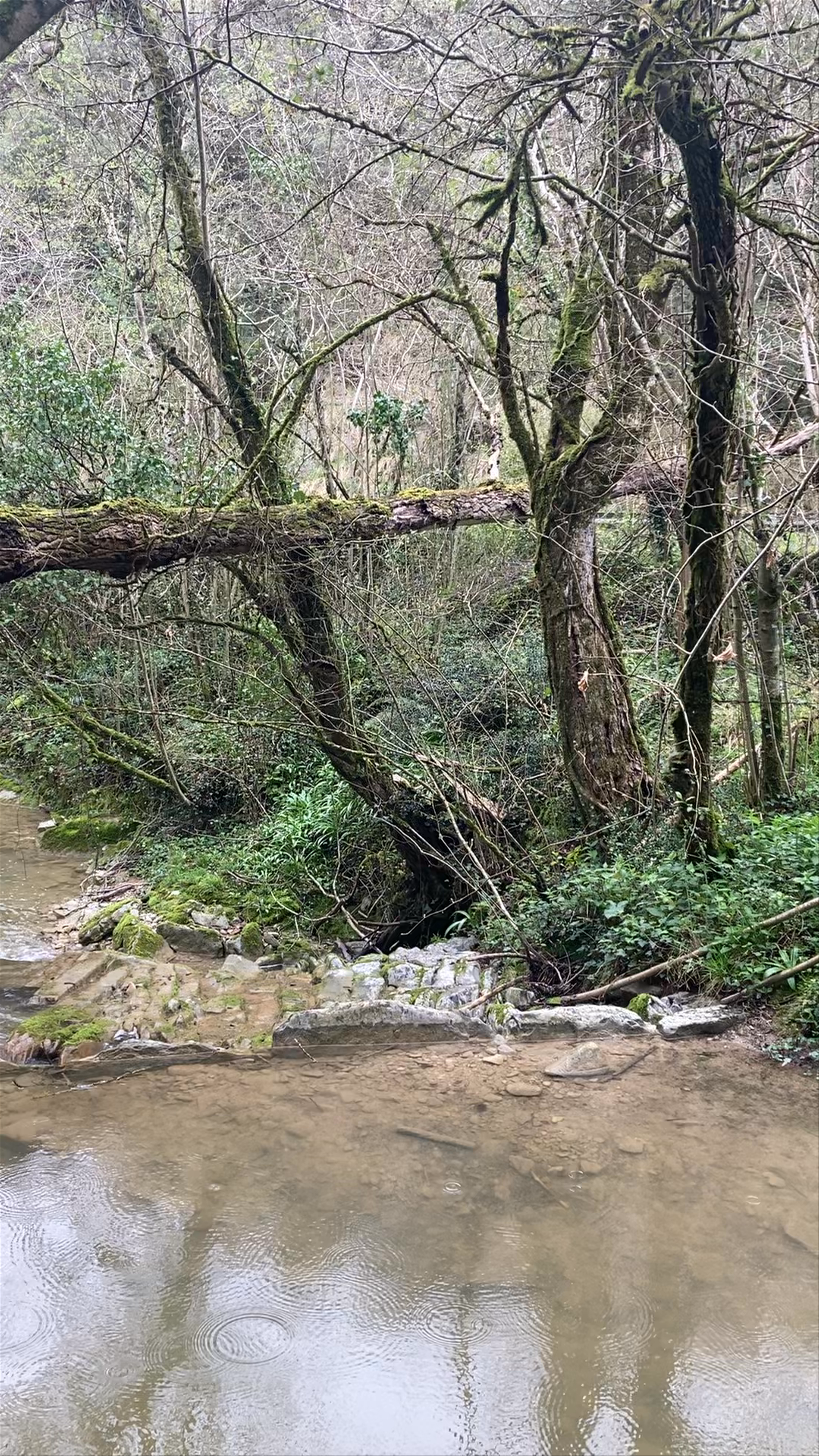 Cascada de Peñaladros: Serene Woodland Waterfall in Castilla y León, Spain