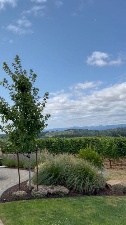 Eminent Domaine - The view from the patio - Wine Tasting Room Near Me - Newberg, Oregon