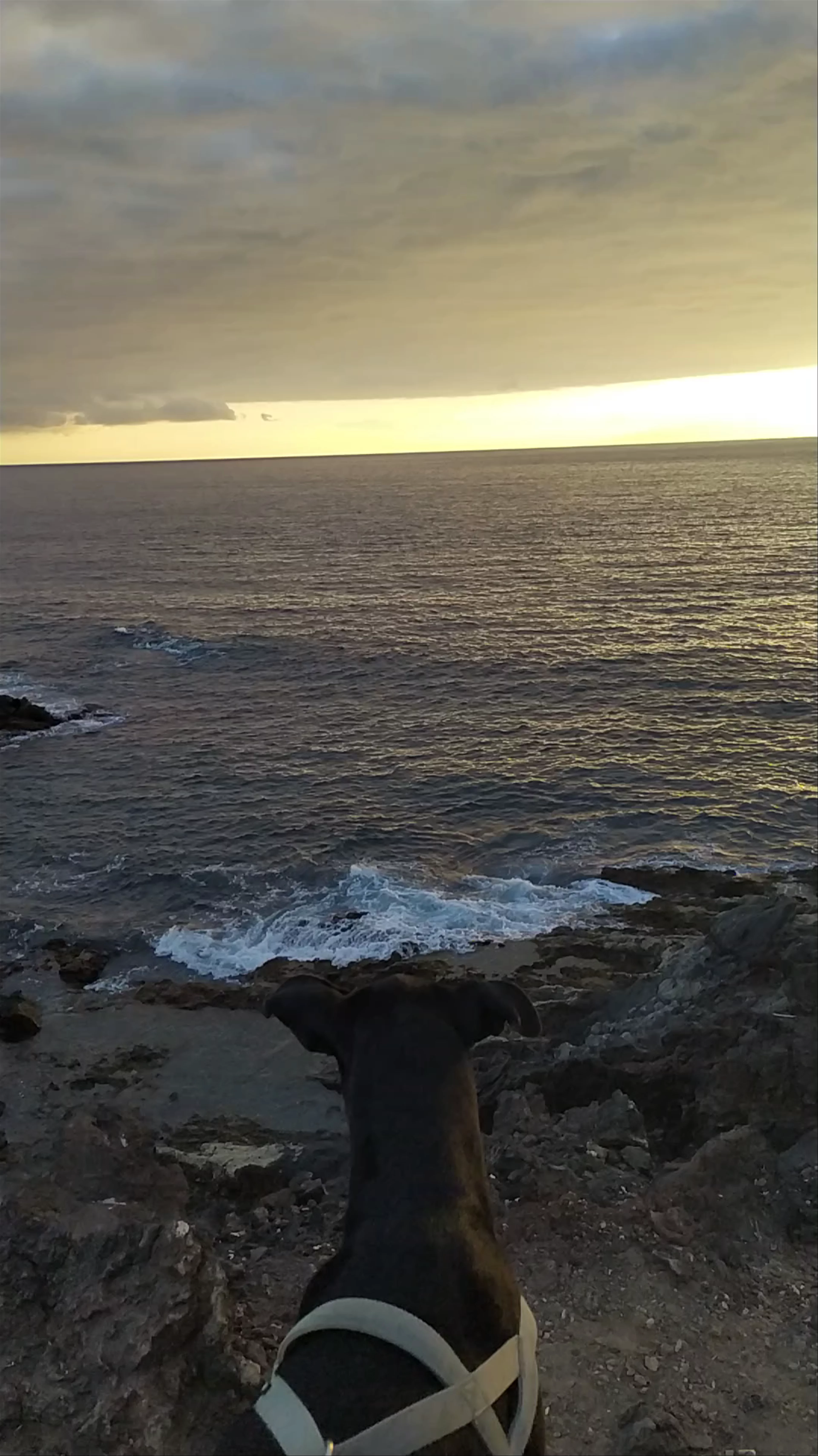 Faro Punta de Rasca