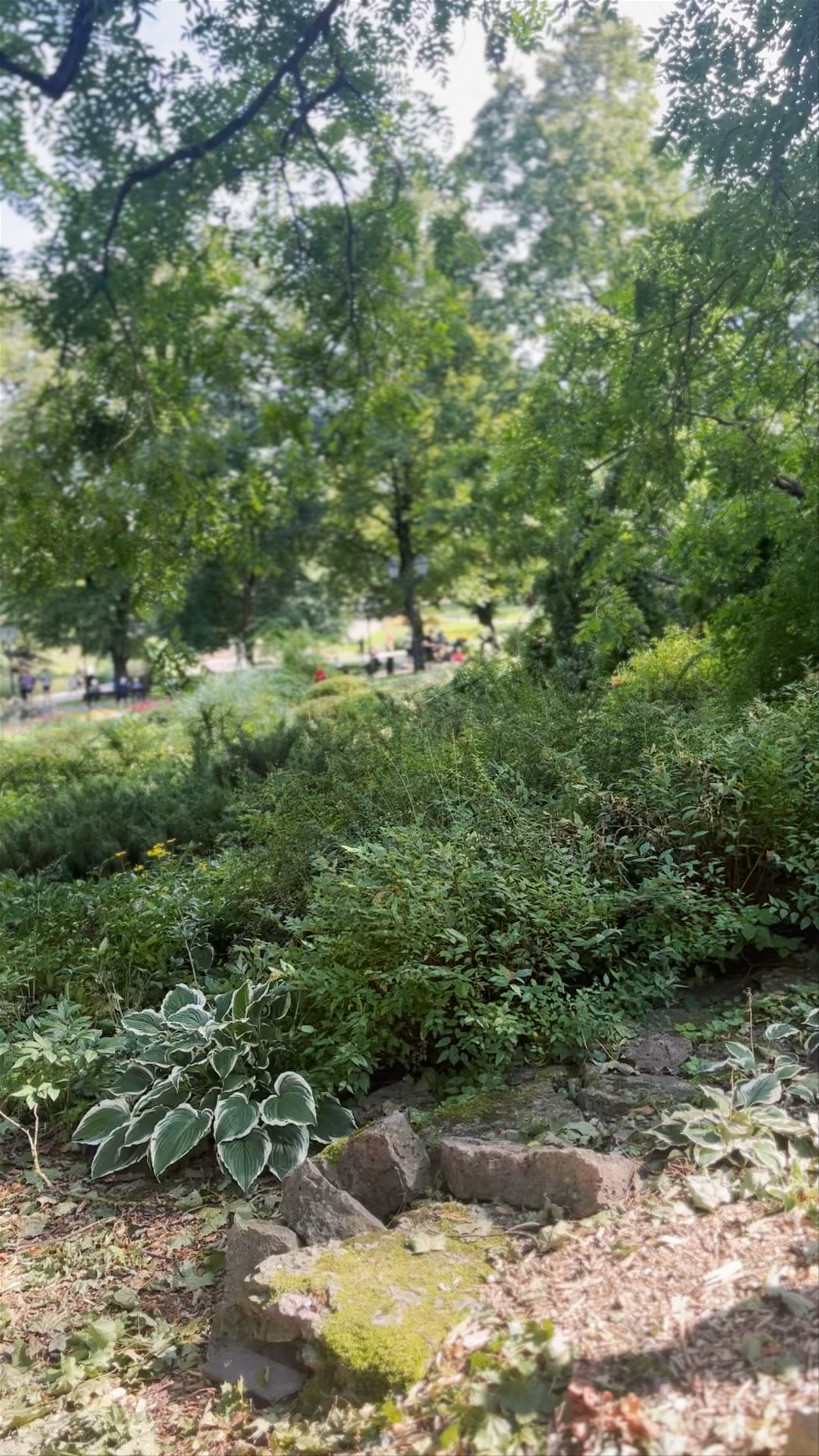 Bastejkalna Parks: A Serene Urban Green Oasis in Central Riga