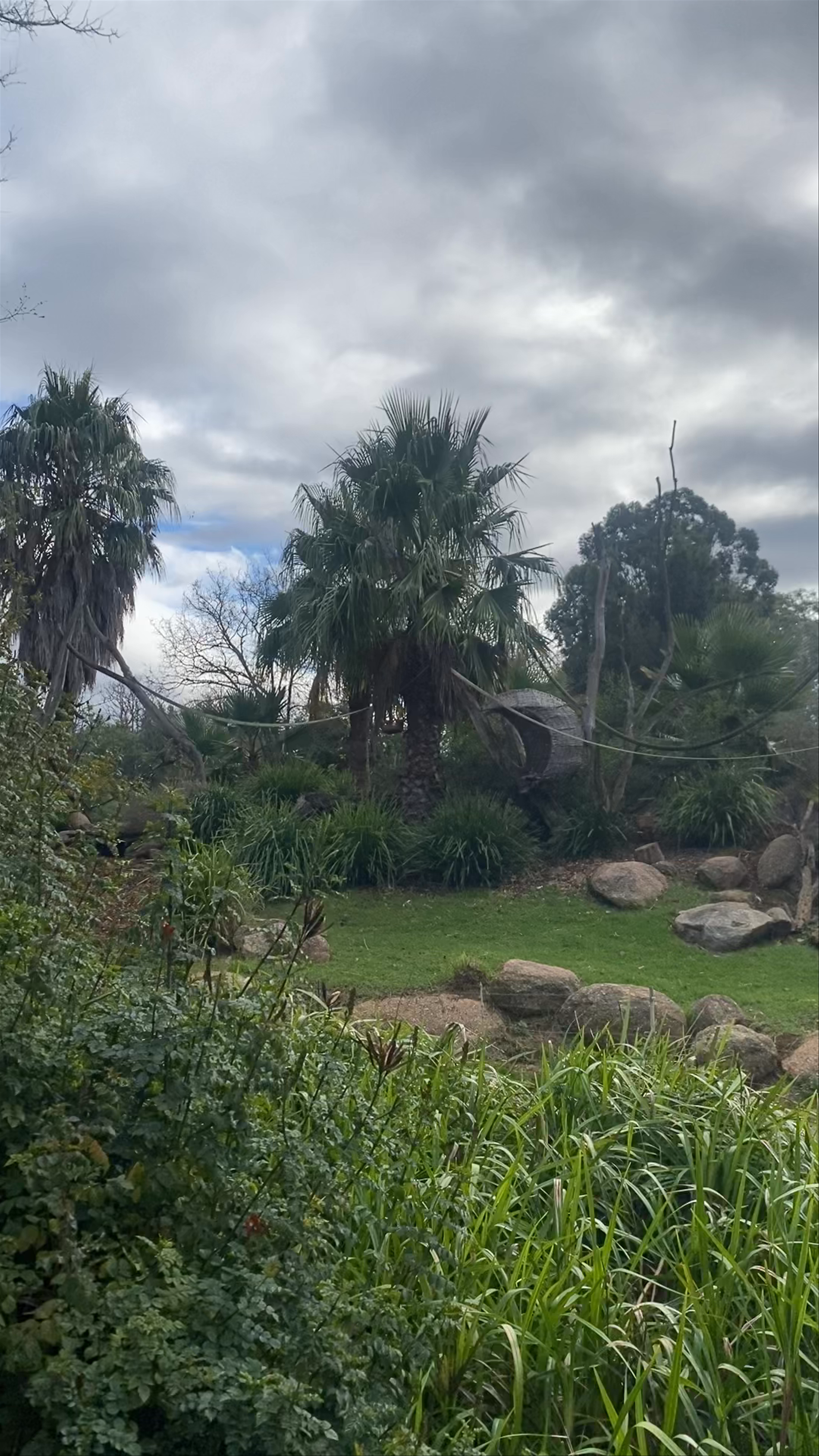 Werribee Open Range Zoo