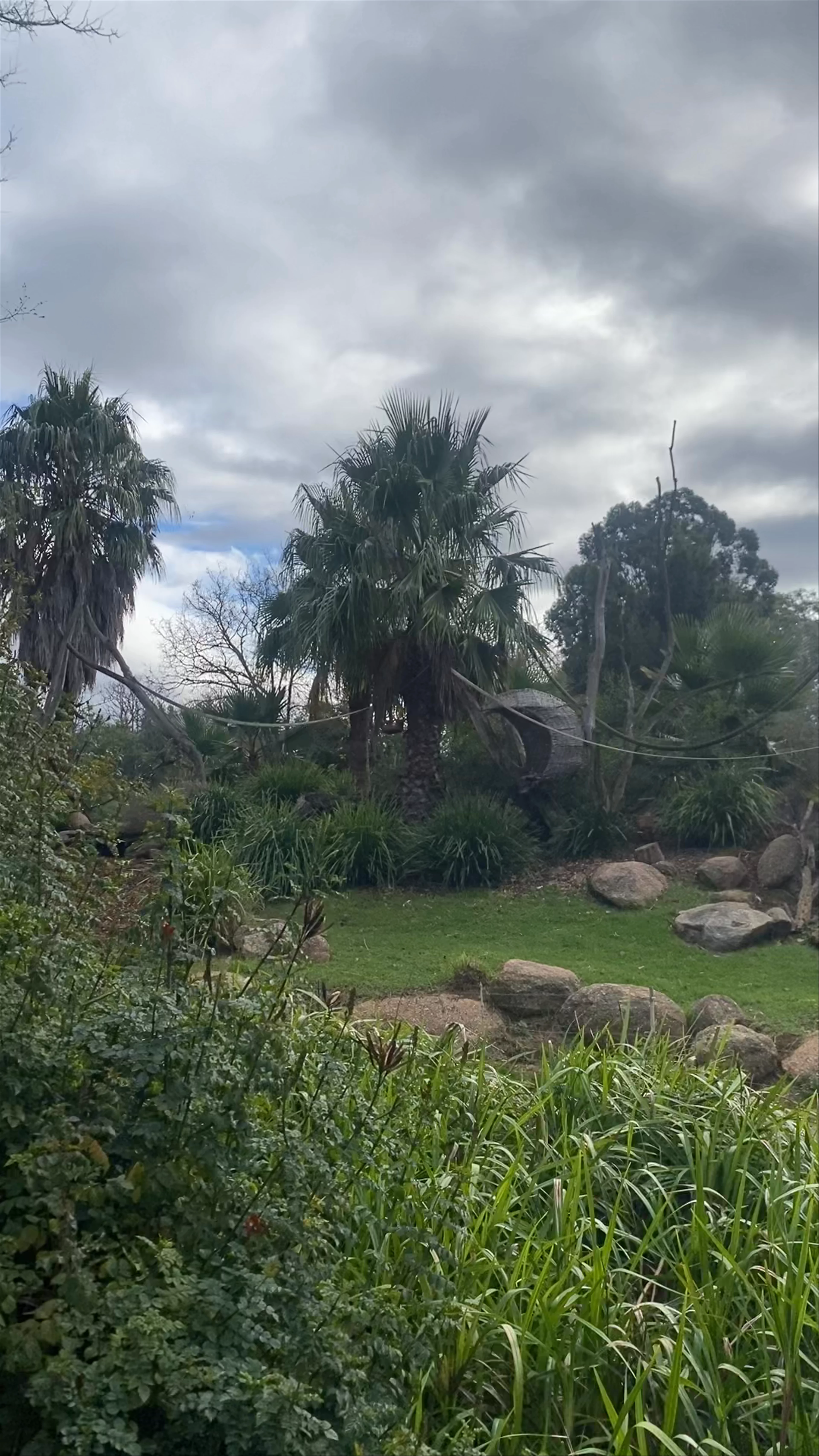 Werribee Open Range Zoo