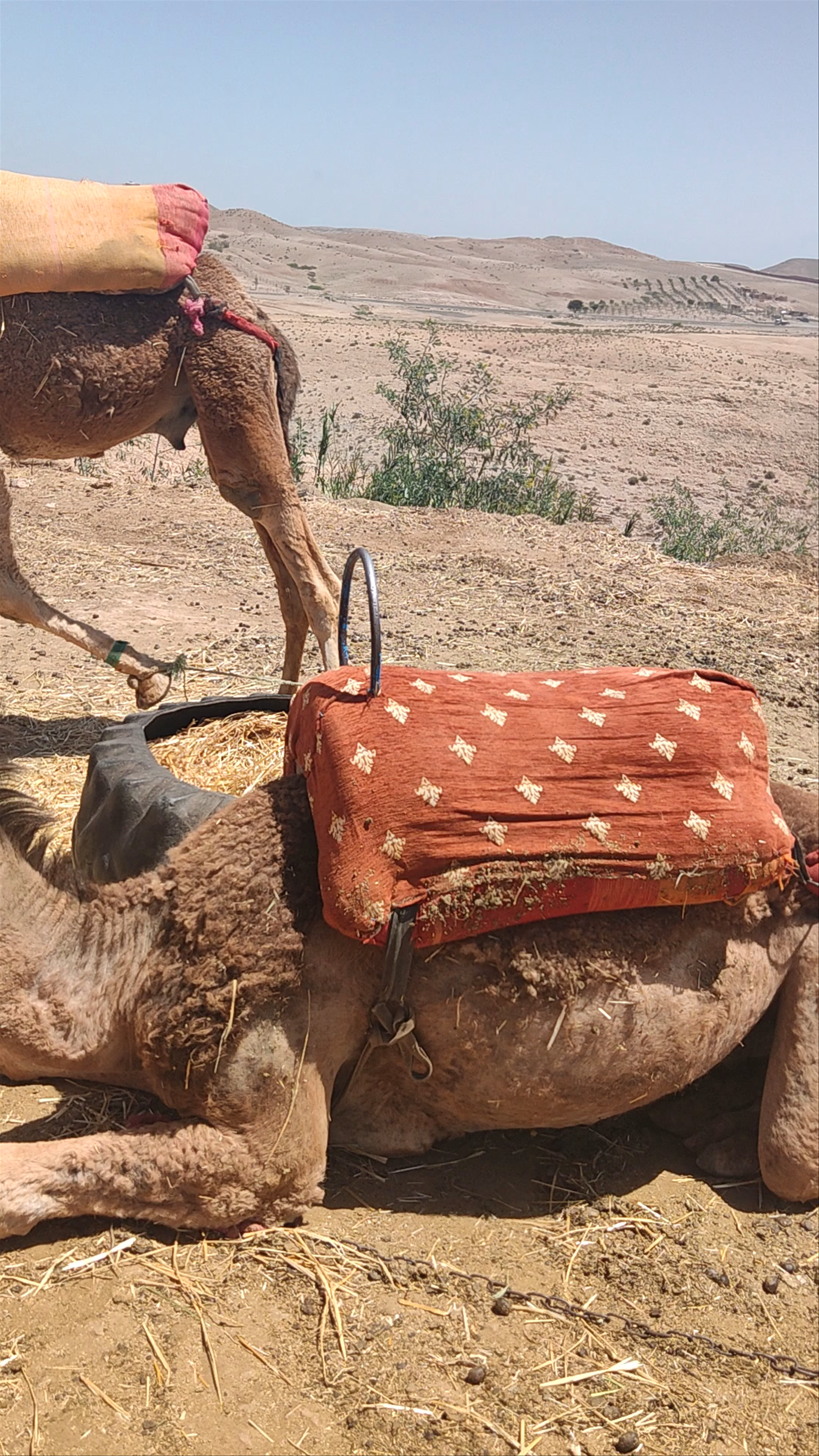 Quad biking in agafay desert