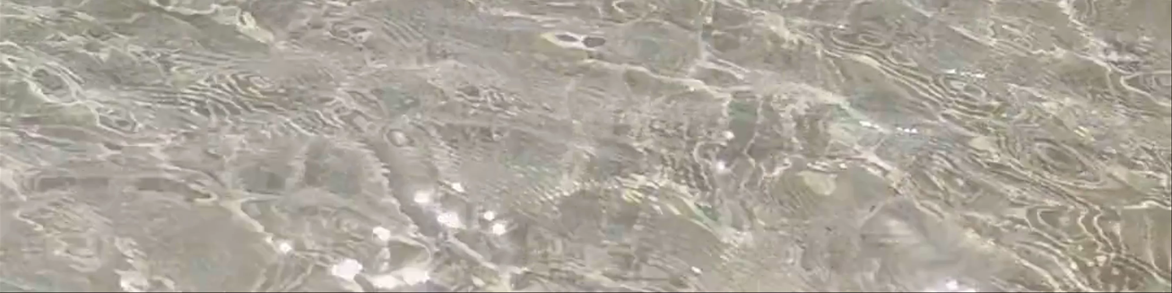 Shark Sanctuary