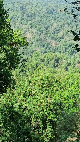 Photo of Chandi Mata temple H