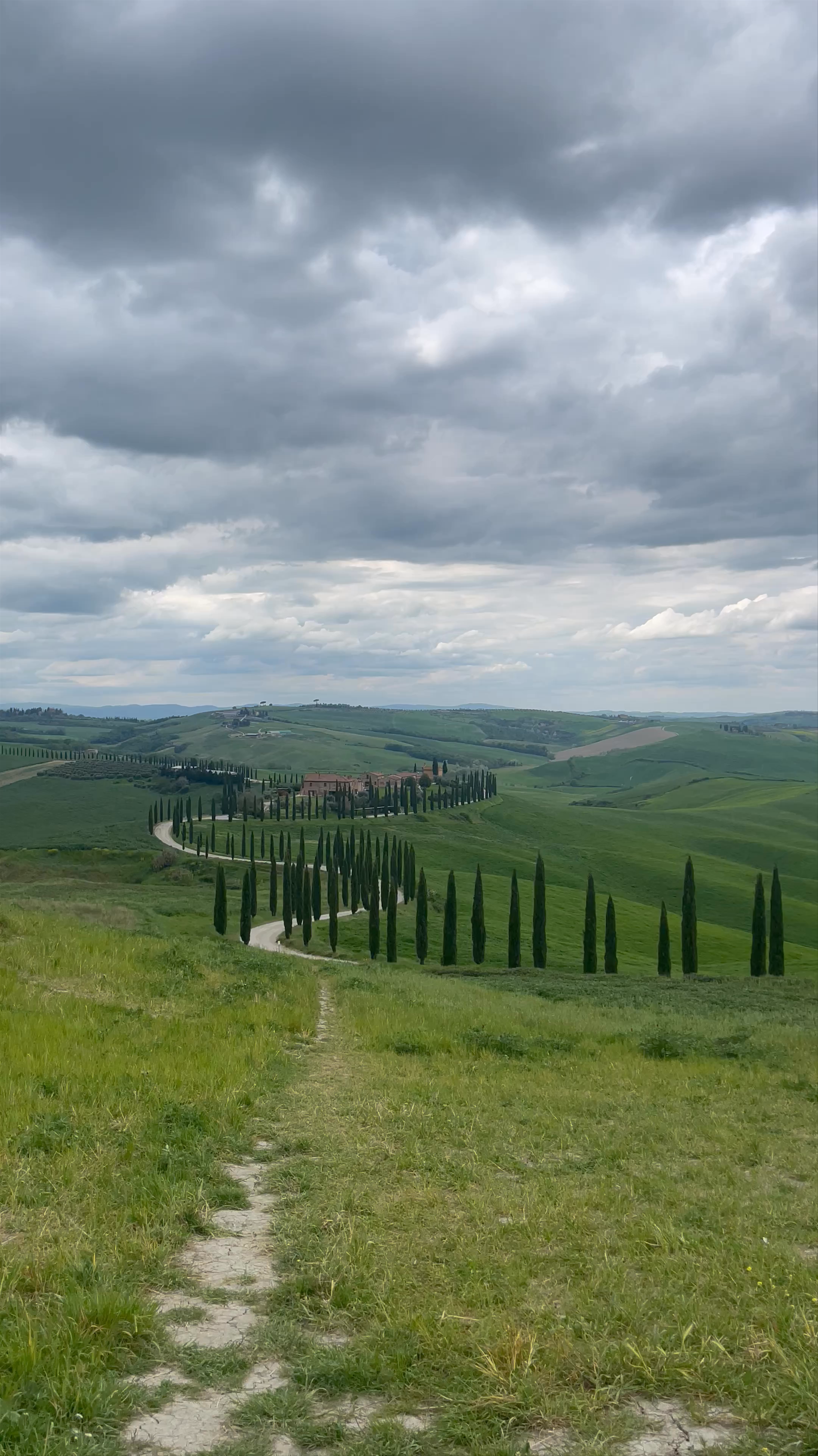 Cypress Road