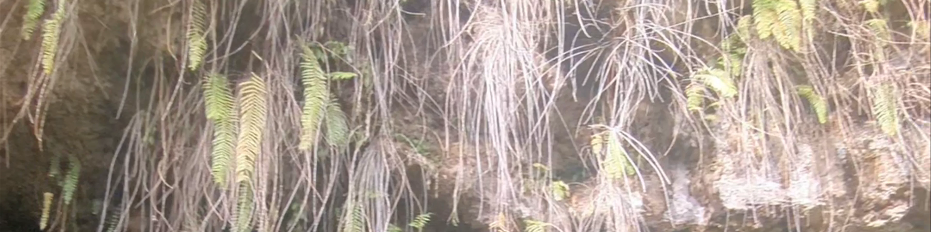 Grotte Vaipoiri