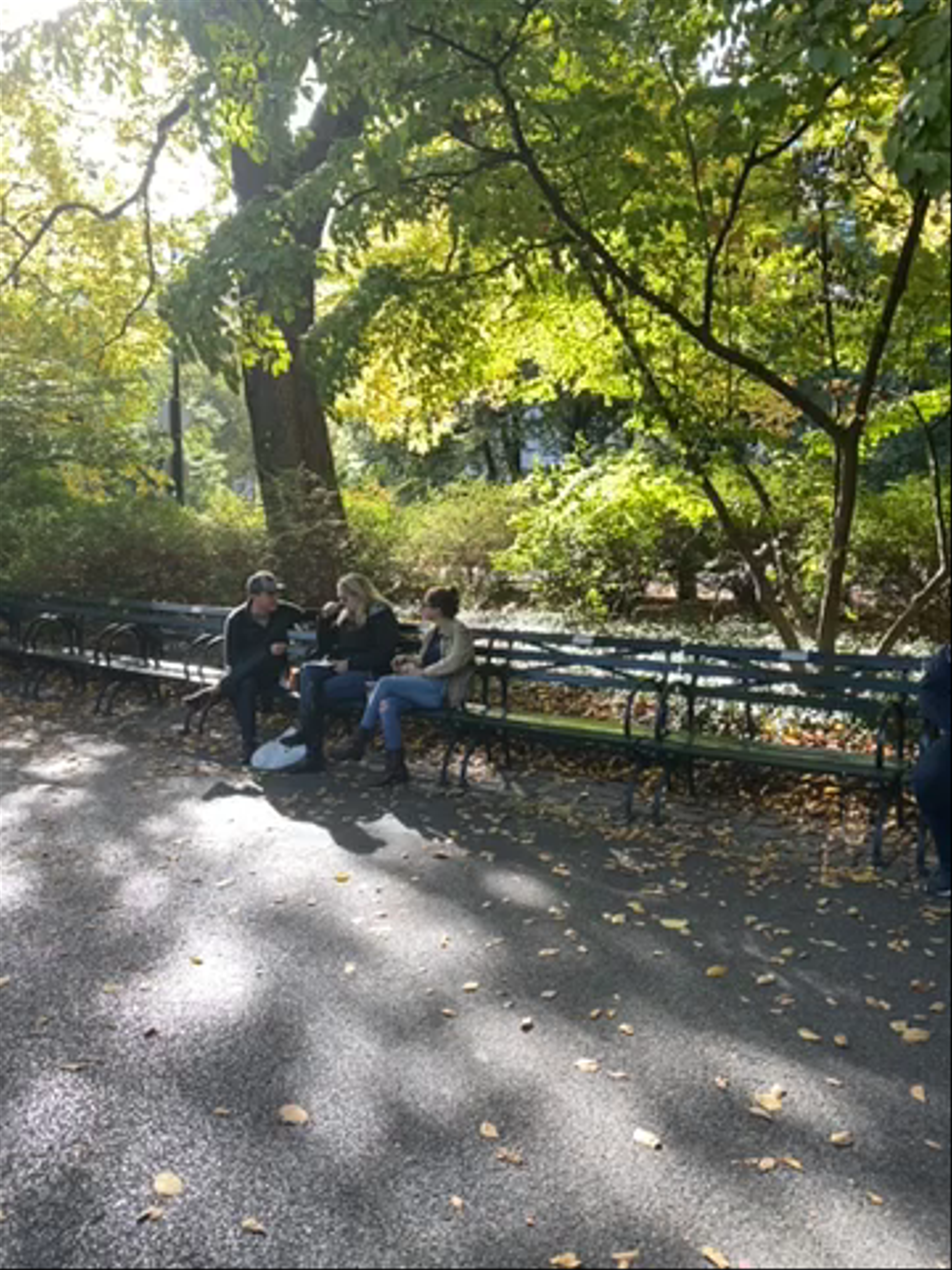 Strawberry Fields
