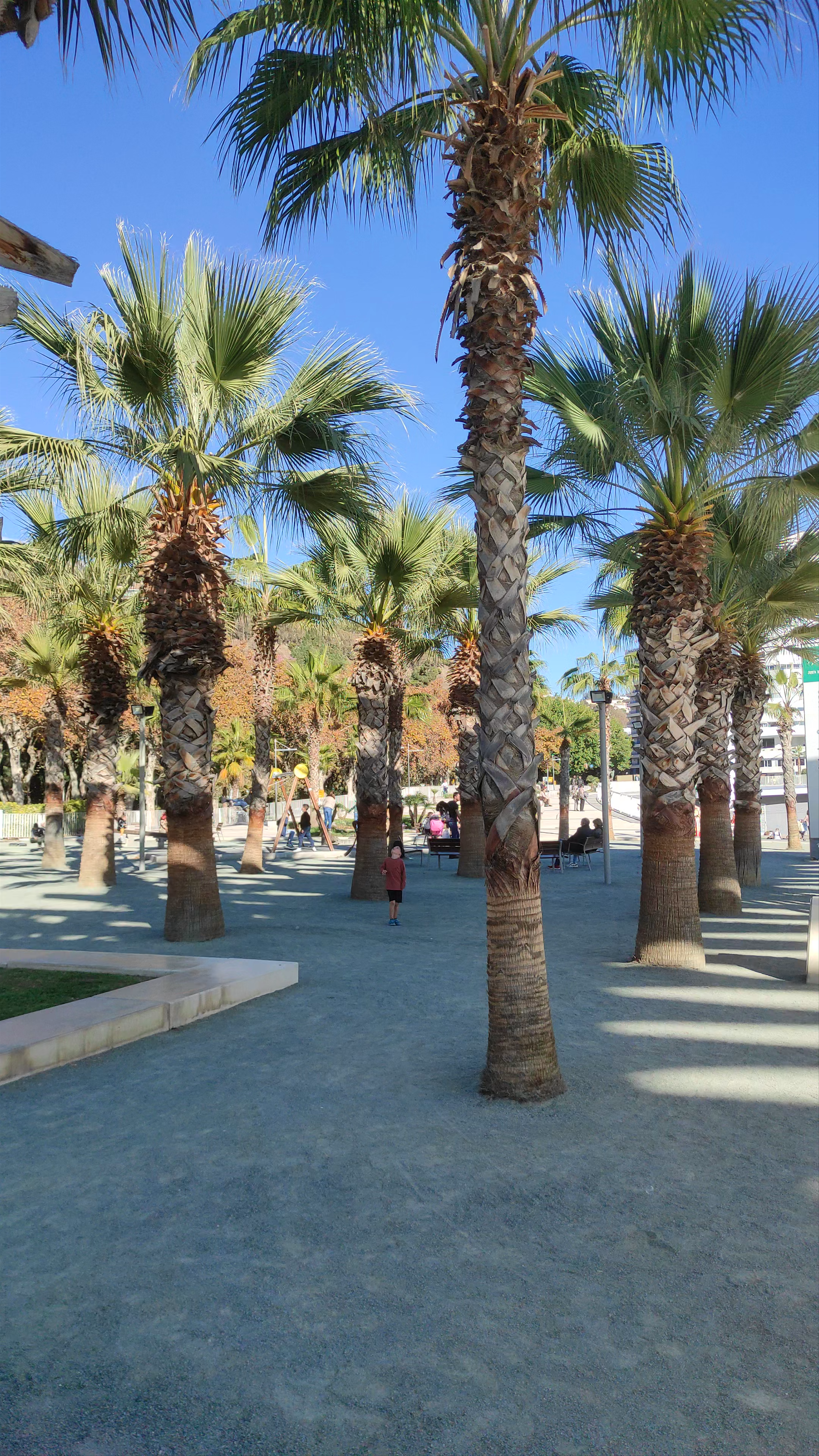 Sunny Stroll Through Palmeral de Las Sorpresas in Málaga