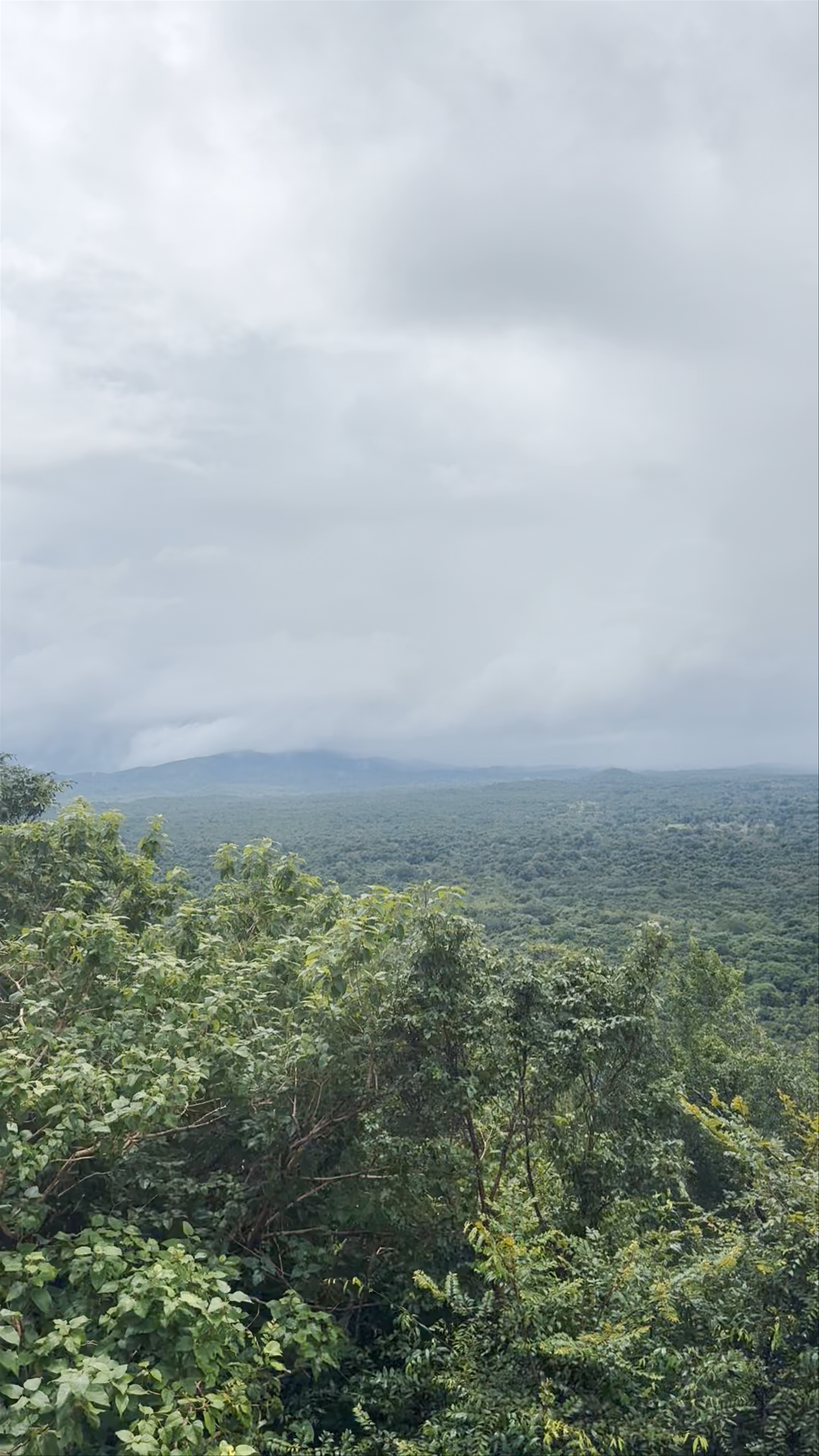 Sigiriya Lion Rock