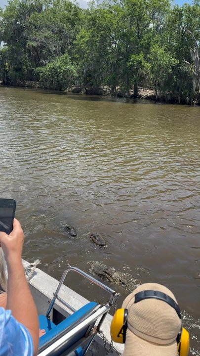 Louisiana  Tour - Tours Near Me - Marrero, Louisiana