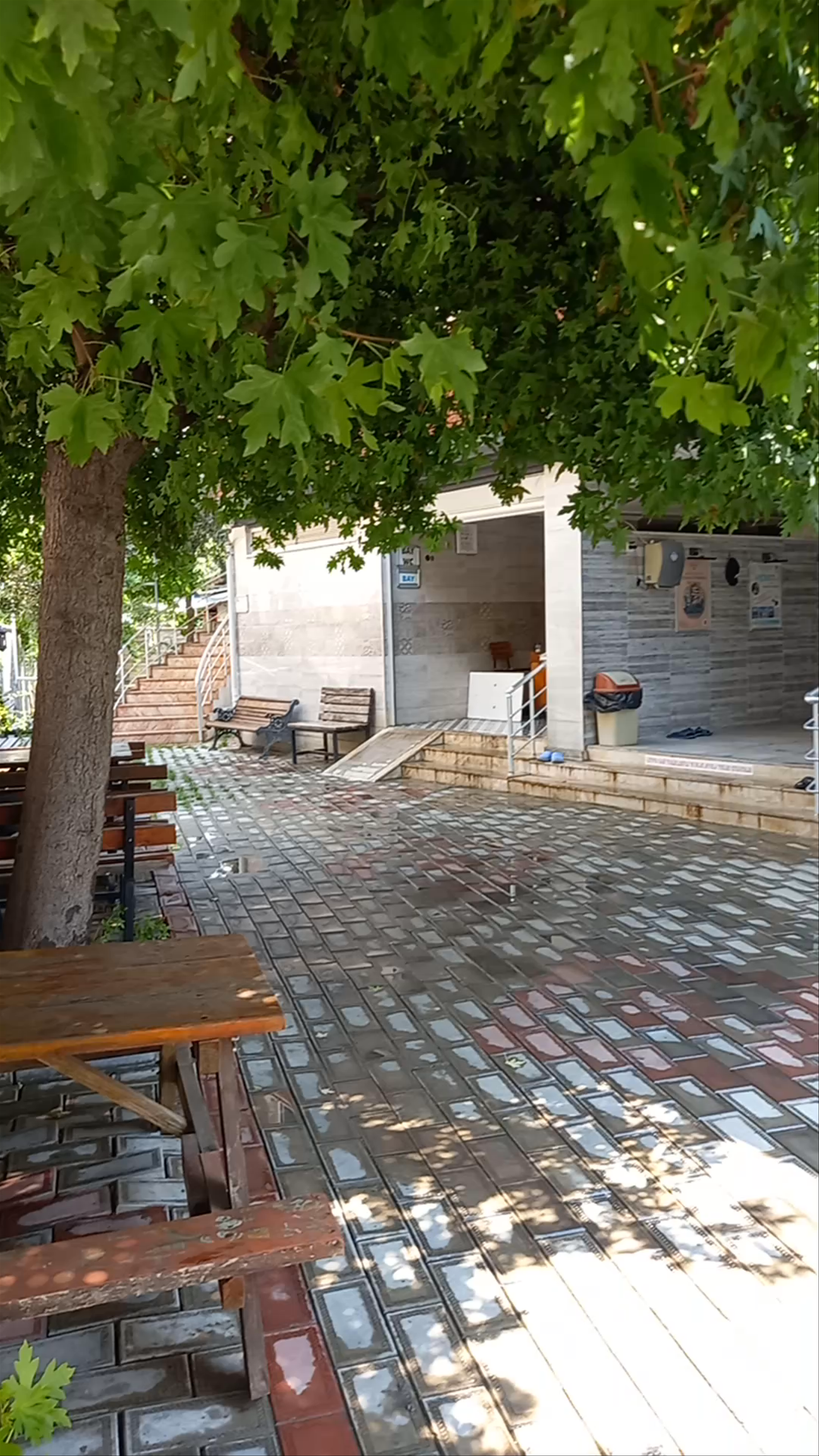 A Quiet Oasis Under the Trees at Aykiri Cami in Tuzla, Turkey