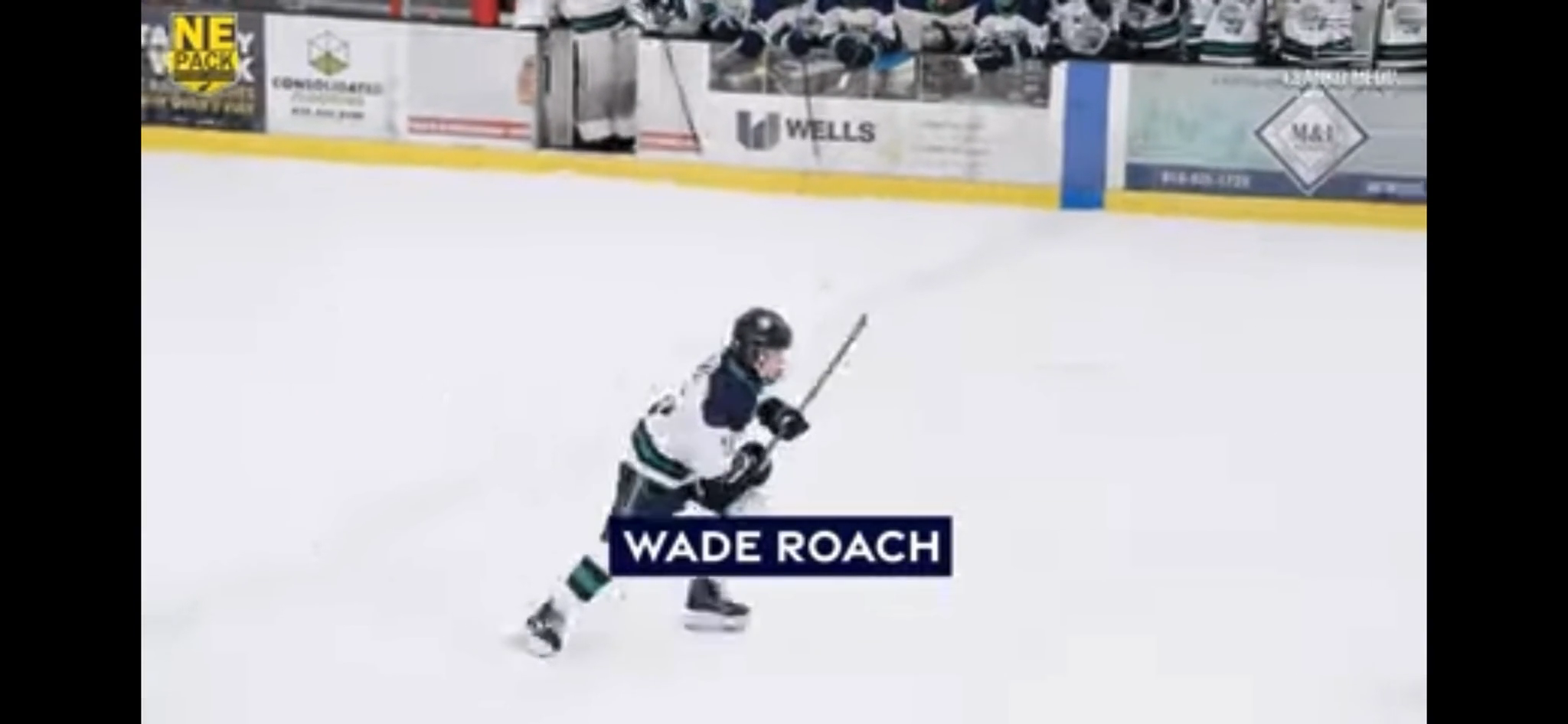 Wade Roach's Spectacular Highlights: NE Pack 14u AAA Showcase