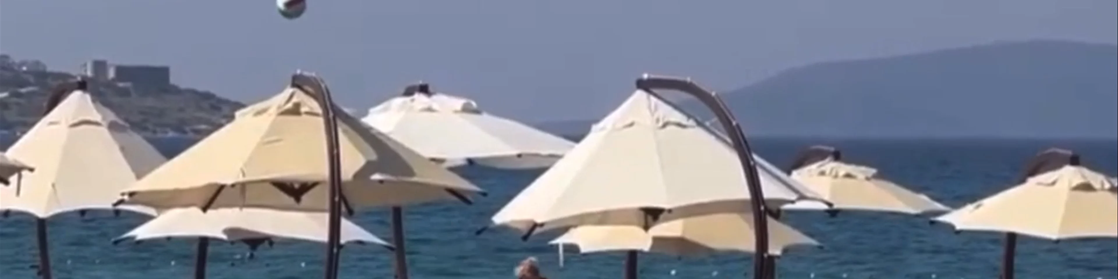 Boyalık