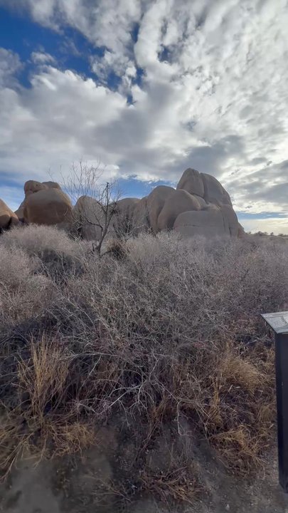 Skull Rock - Landmarks & Historical Buildings Near Me - Joshua Tree, California