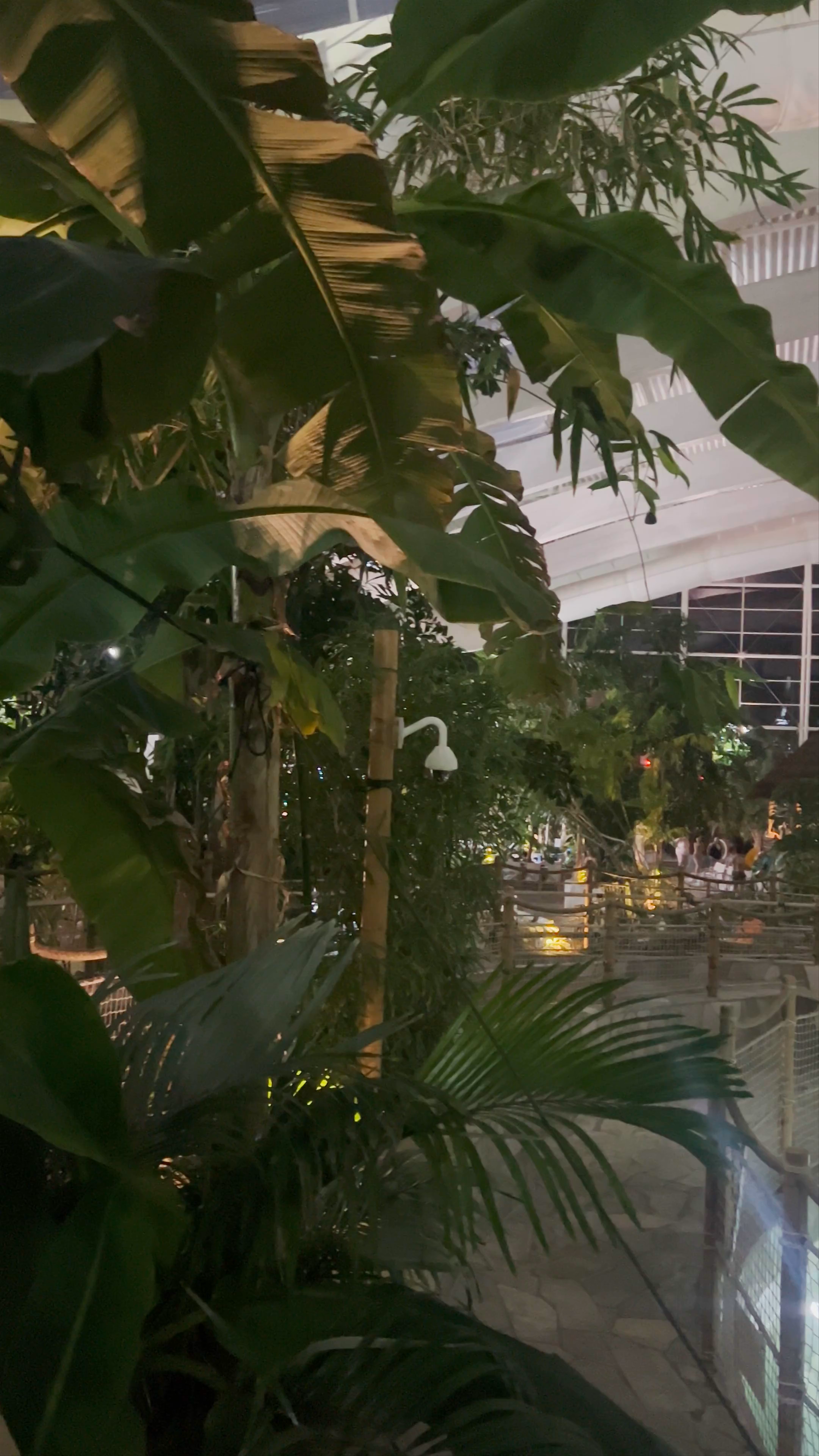 Subtropical Swimming Paradise